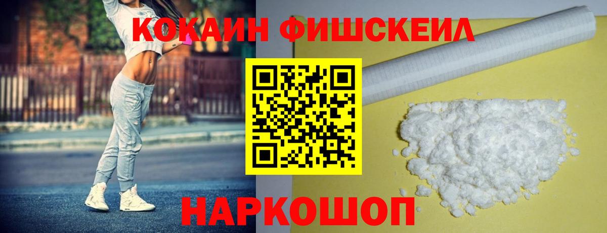 COCAIN Fish Scale  COCAIN  Вход с VPN  Каспийск  где найти   COCAIN Columbia 