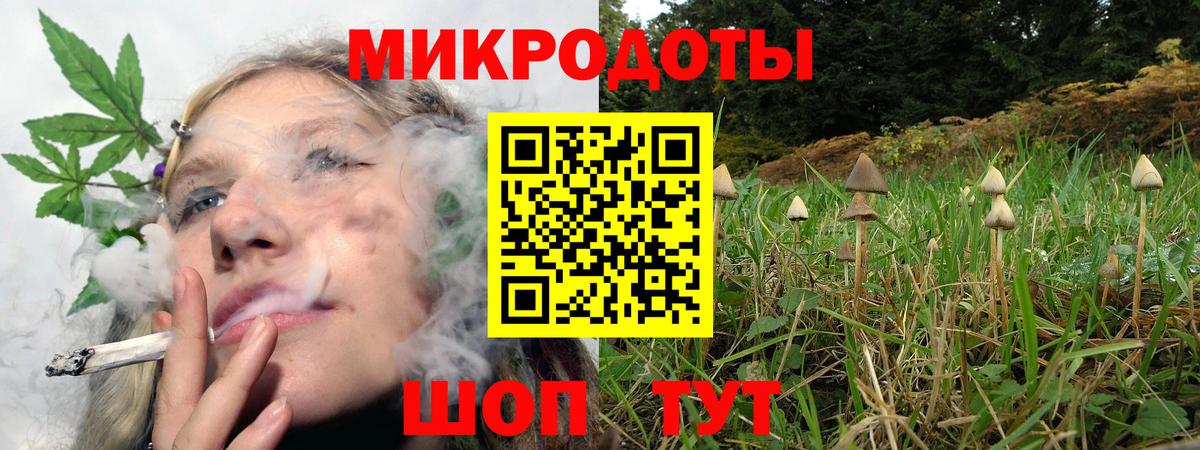 Галлюциногенные грибы мухоморы Каспийск